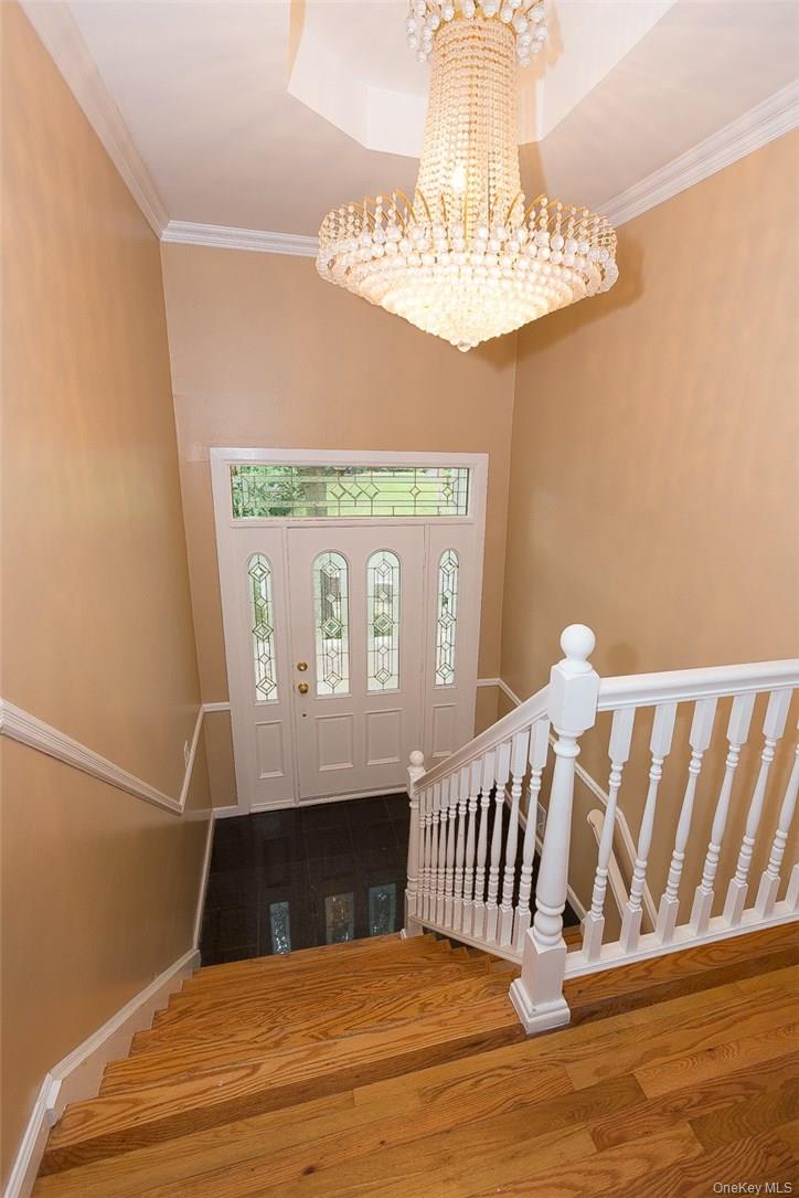 49 Soulice Place New Rochelle, NY 10804 - Photo 3 of 29