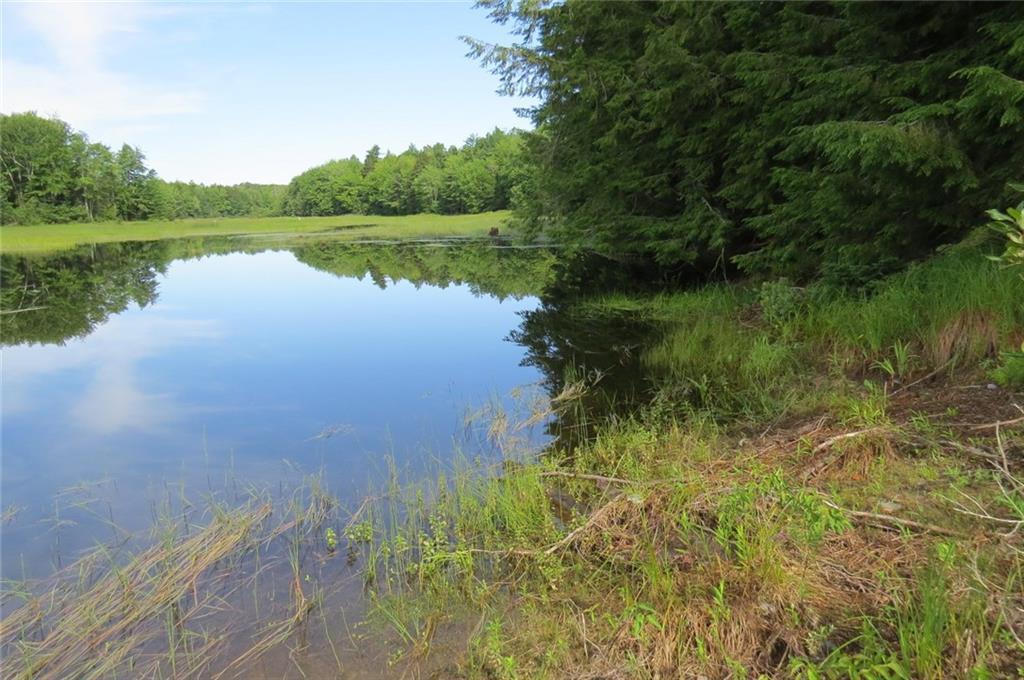0 Tannery Brook Road Ellsworth, ME 04605 - Photo 19 of 22 Photo