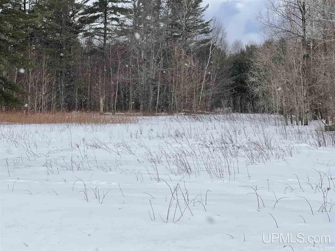 6302 W Krummich Road Manistique, MI 49854 - Photo 6 of 13