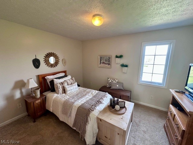 8742 Henderson Road Diamond, OH 44412 - Photo 18 of 37 Guest bedroom 2