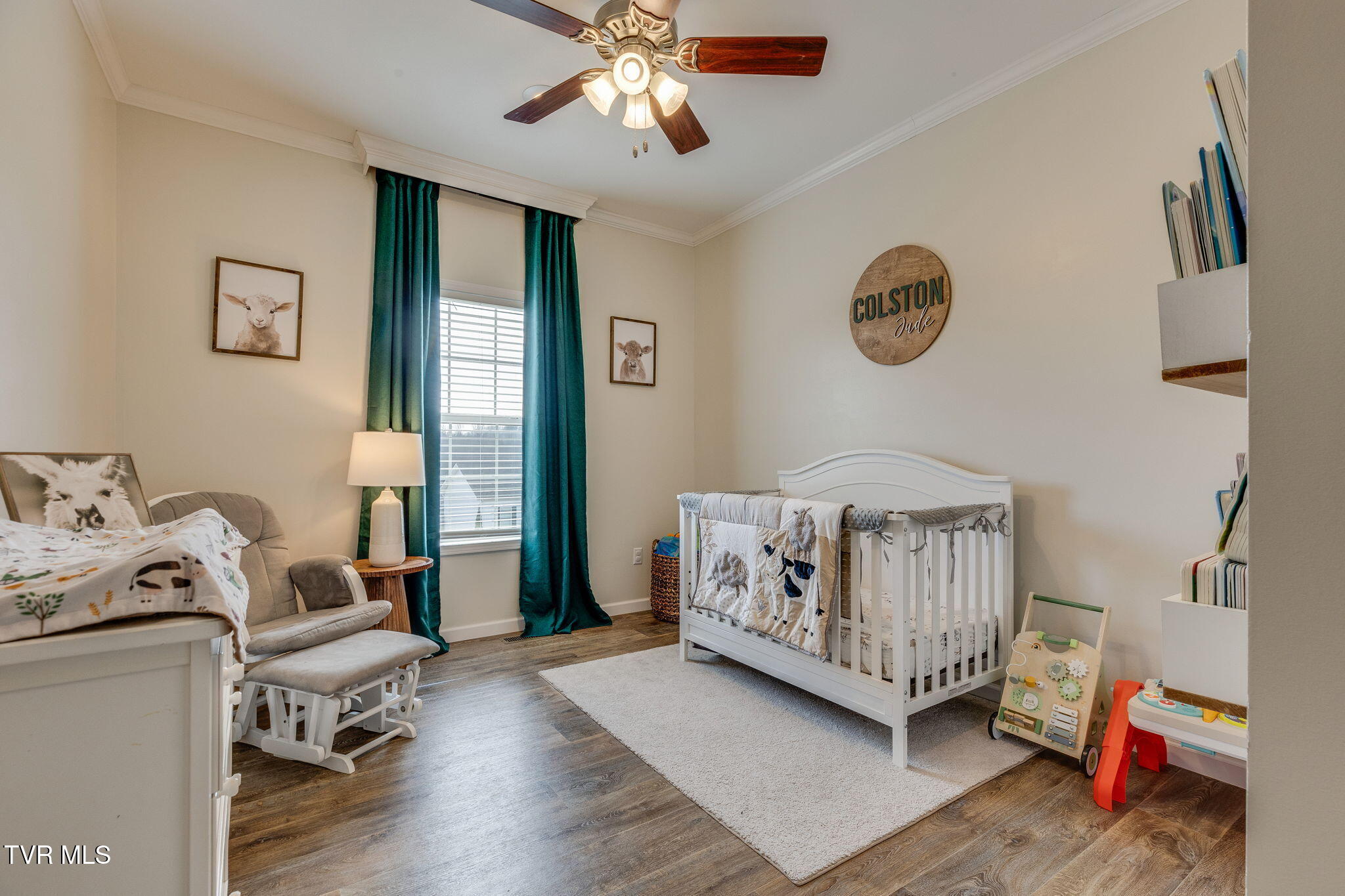 185 Milk Thistle Way Fall Branch, TN 37656 - Photo 27 of 49 026