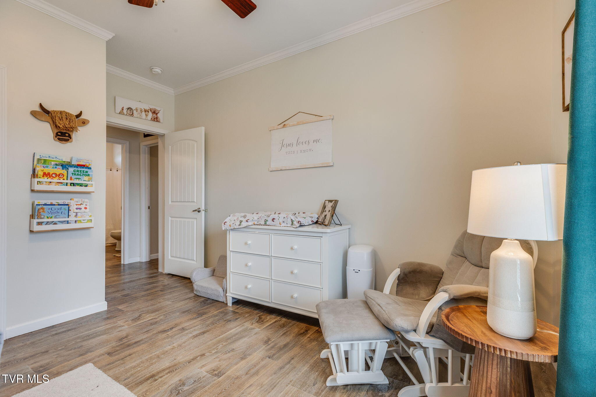 185 Milk Thistle Way Fall Branch, TN 37656 - Photo 29 of 49 028