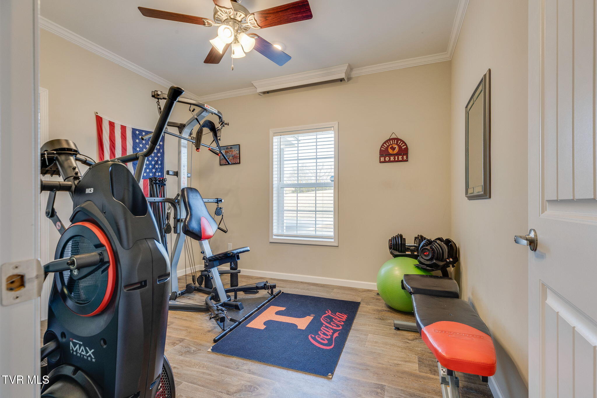 185 Milk Thistle Way Fall Branch, TN 37656 - Photo 30 of 49 029