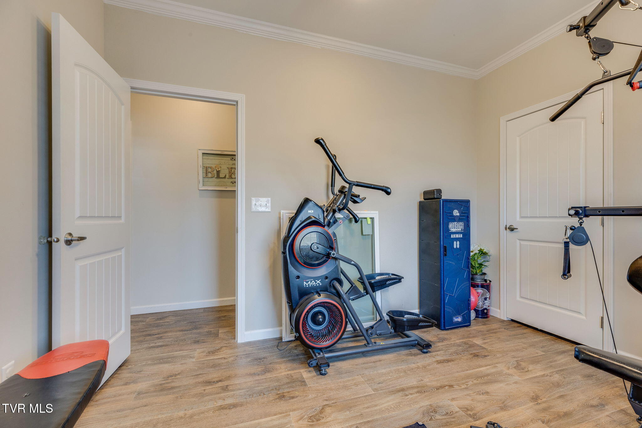 185 Milk Thistle Way Fall Branch, TN 37656 - Photo 31 of 49 030