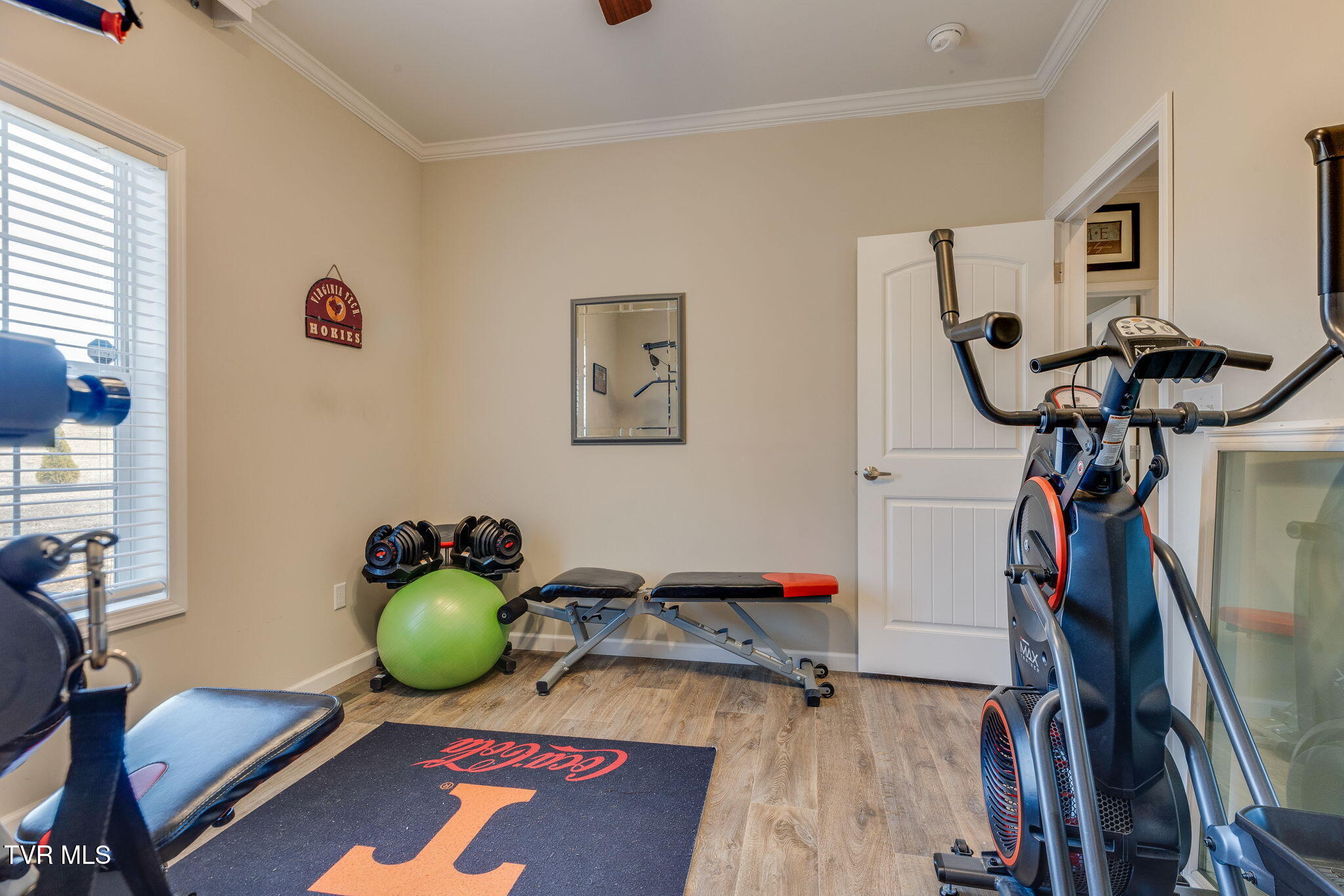 185 Milk Thistle Way Fall Branch, TN 37656 - Photo 32 of 49 031