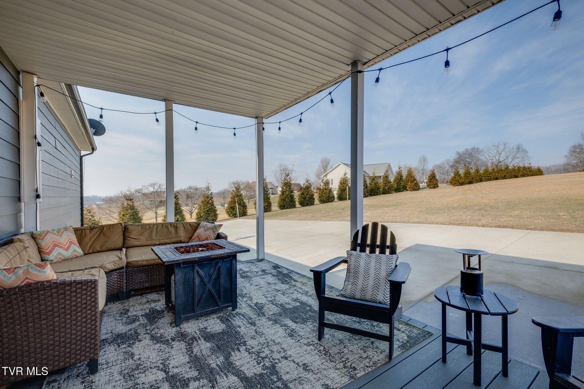 185 Milk Thistle Way Fall Branch, TN 37656 - Photo 42 of 49 039