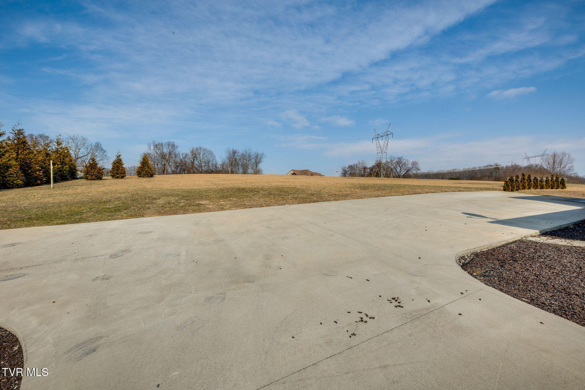 185 Milk Thistle Way Fall Branch, TN 37656 - Photo 43 of 49 040