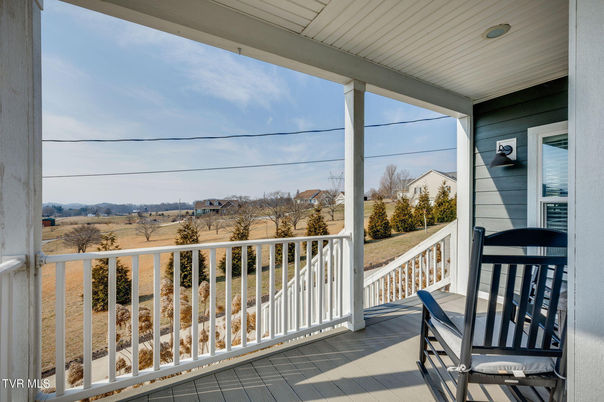 185 Milk Thistle Way Fall Branch, TN 37656 - Photo 5 of 49 004