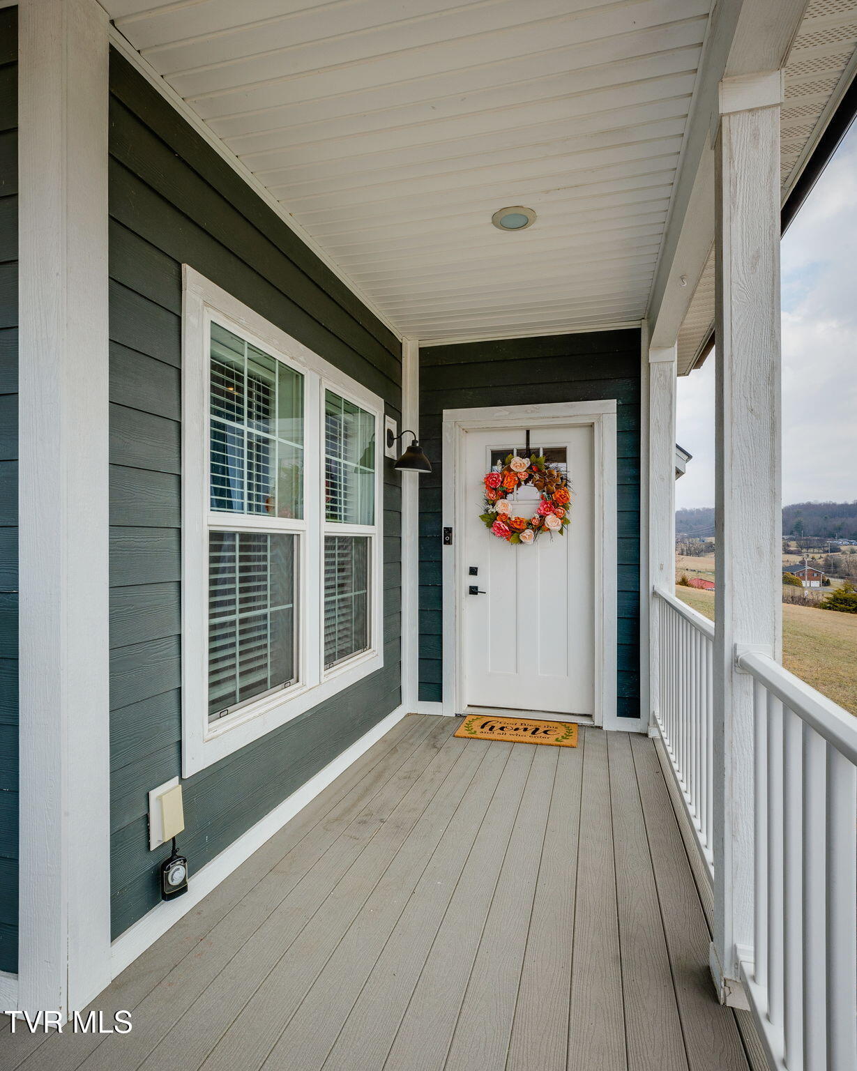 185 Milk Thistle Way Fall Branch, TN 37656 - Photo 6 of 49 005