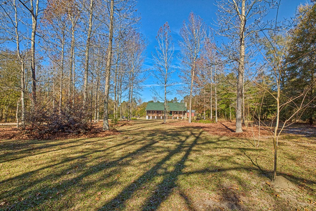 392 Old Nail Road Jackson, SC 29831 - Photo 8 of 71