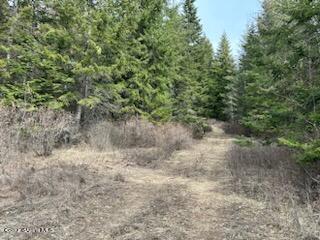7 North Triangle 7 Road Hayden, ID 83835 - Photo 1 of 1 Main