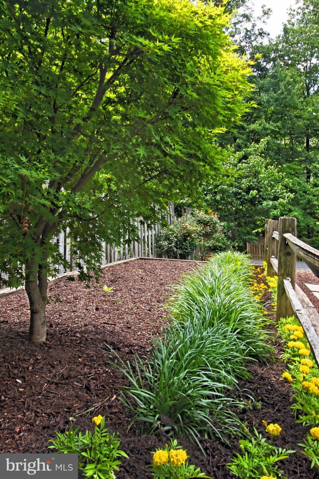 8305 Magic Leaf Road Springfield, VA 22153 - Photo 29 of 30 Tiered Garden Beds Make for Endless Possibilities