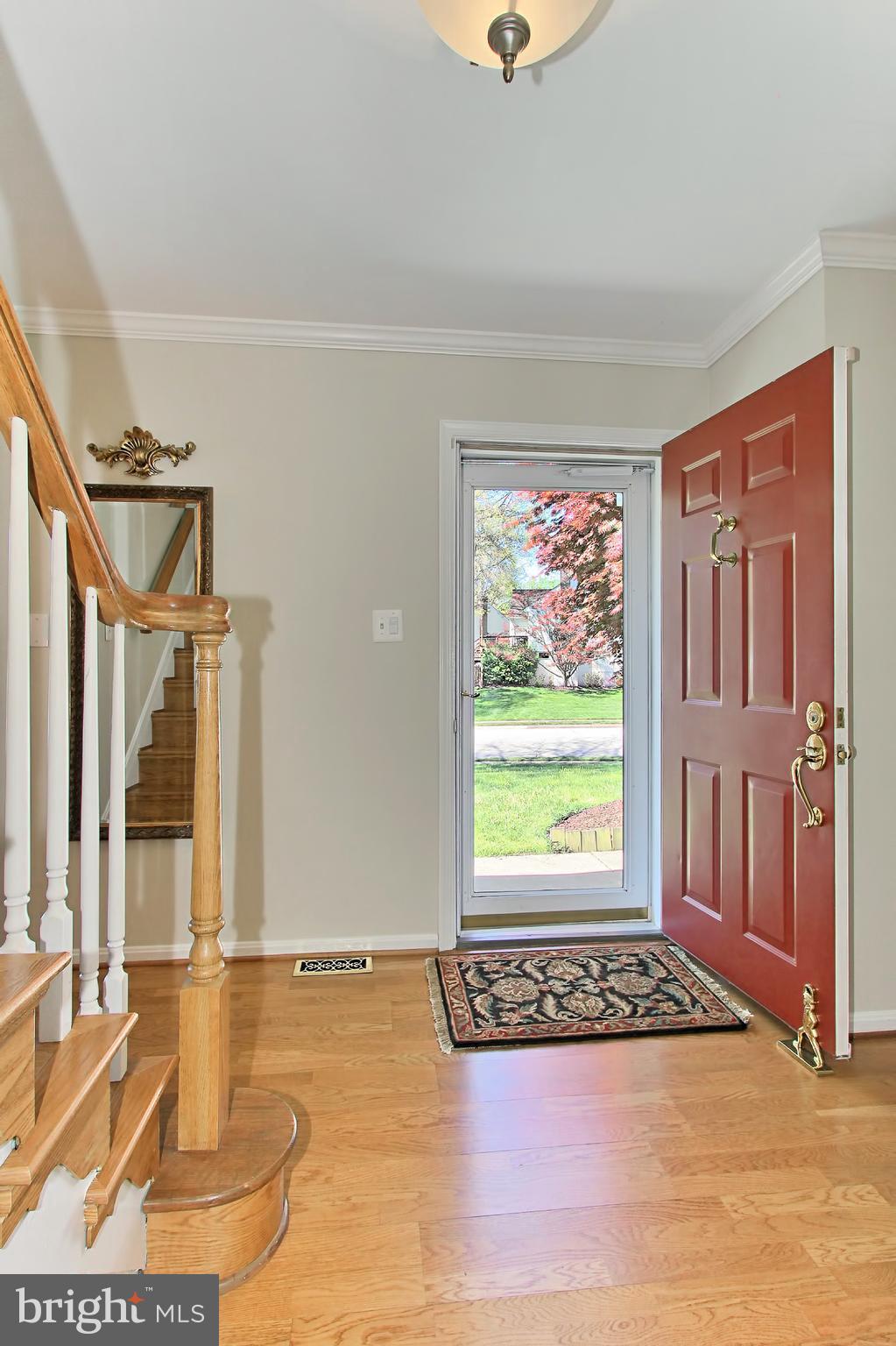 8305 Magic Leaf Road Springfield, VA 22153 - Photo 5 of 30 Beautiful Welcoming Center Hall Floyer