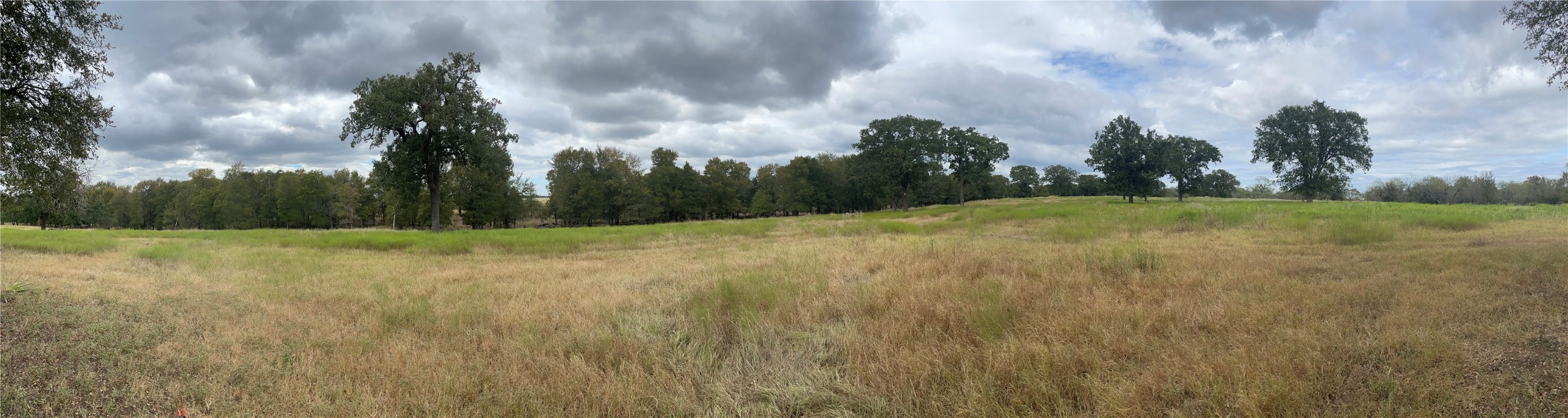 a view of a field with trees in background