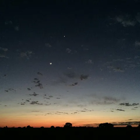 a view of a backyard with furniture and backyard
