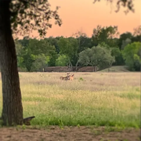 a close view of sink