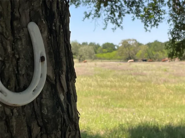 a aerial view of a swimming pool