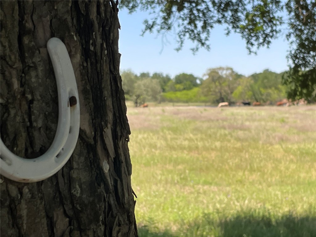 3000 Pettytown Road Dale, TX 78616 - Photo 21 of 34 a view of a lake