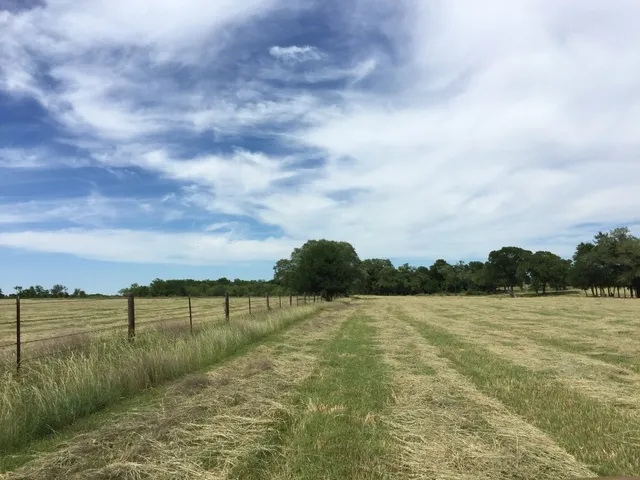 a view of yard with ocean view