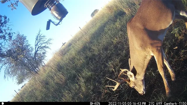 a view of a backyard of a house