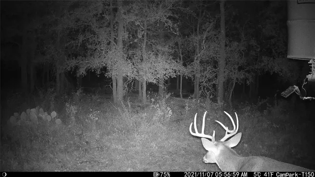 a bed room with a bed