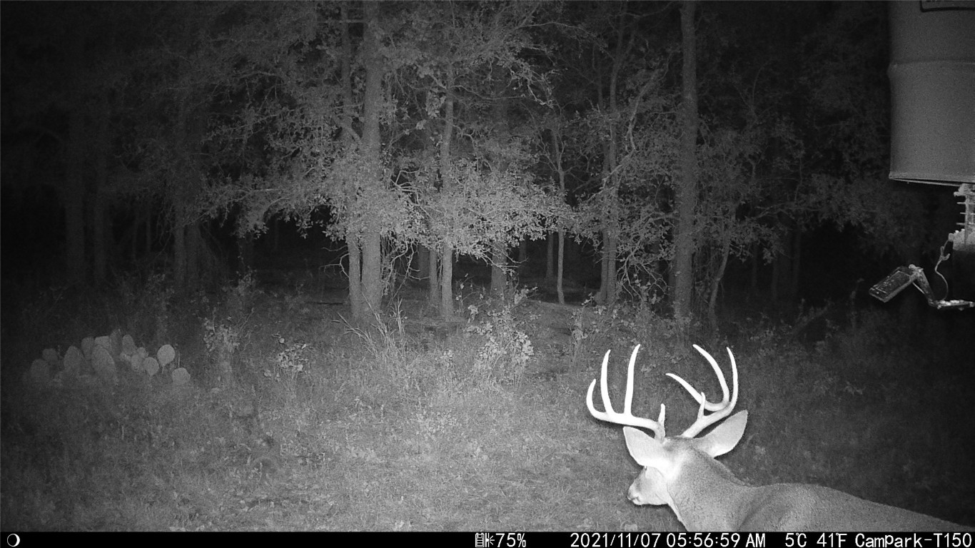 3000 Pettytown Road Dale, TX 78616 - Photo 25 of 34 a close view of sink
