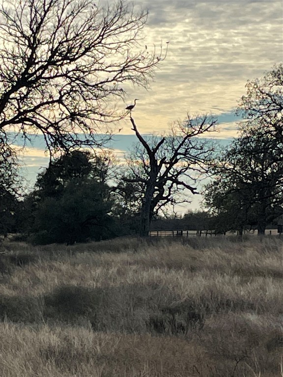 3000 Pettytown Road Dale, TX 78616 - Photo 28 of 34 a view of yard with ocean view