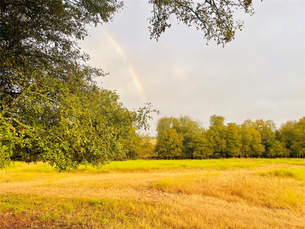 3000 Pettytown Road Dale, TX 78616 - Photo 3 of 34 a view of an ocean