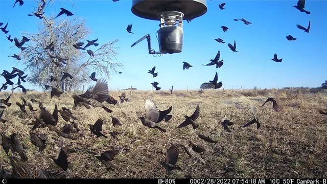 $1,100,000 | 3000 Pettytown Road, Dale, TX 78616