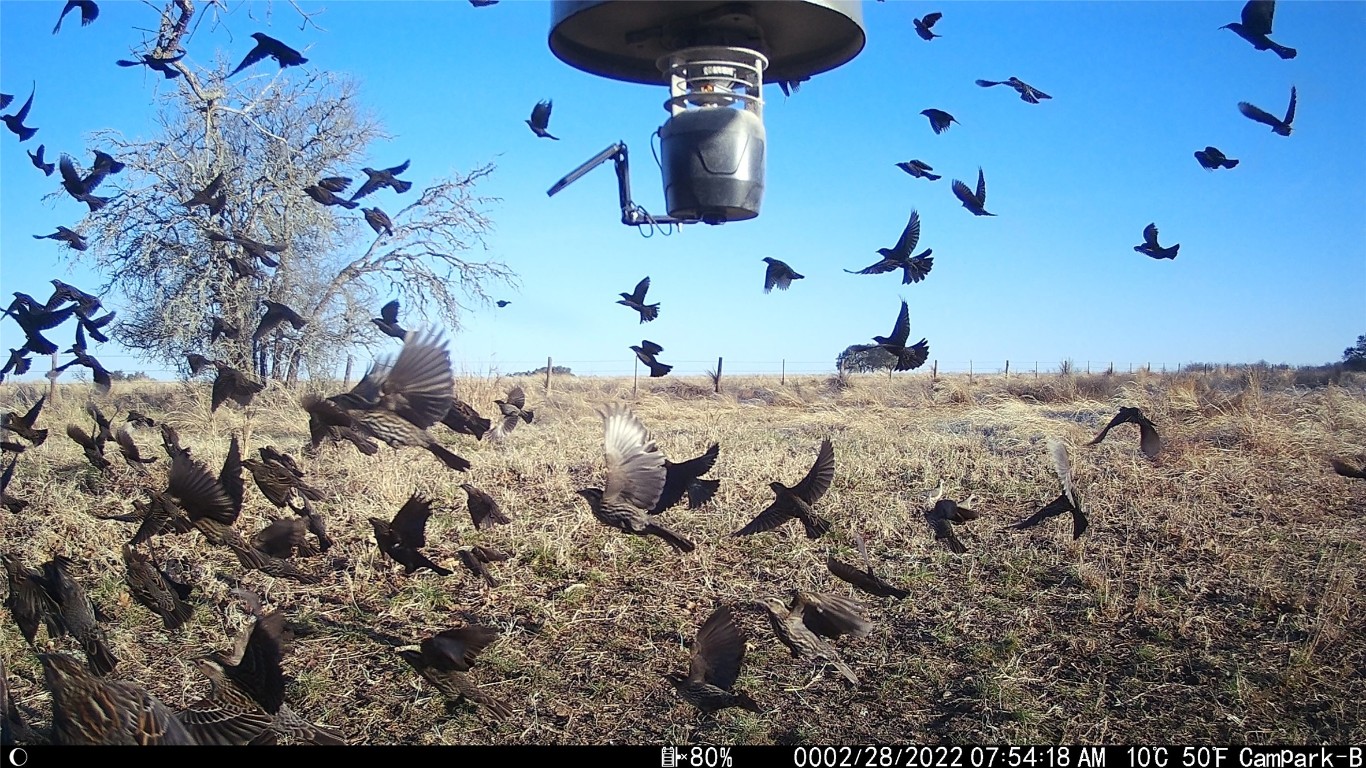 3000 Pettytown Road Dale, TX 78616 - Photo 31 of 34 a bed room with a bed