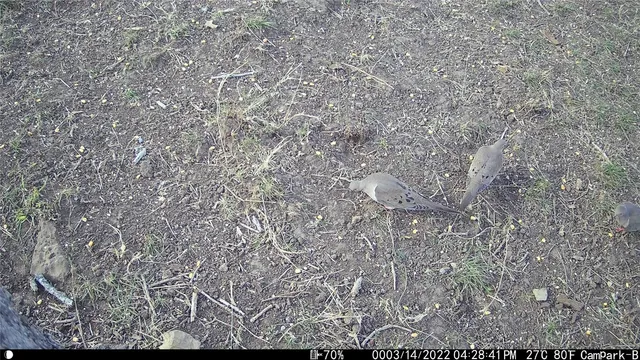 $1,100,000 | 3000 Pettytown Road, Dale, TX 78616