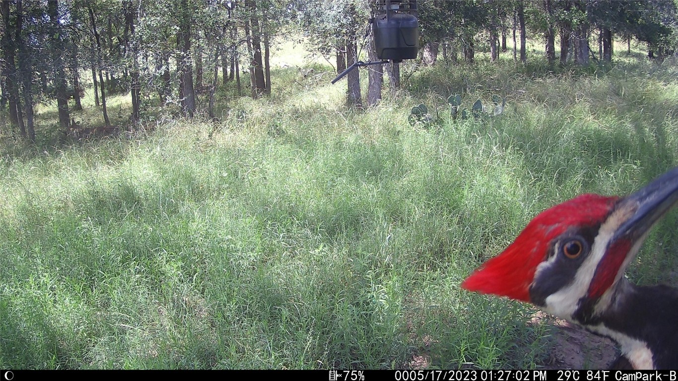 3000 Pettytown Road Dale, TX 78616 - Photo 34 of 34