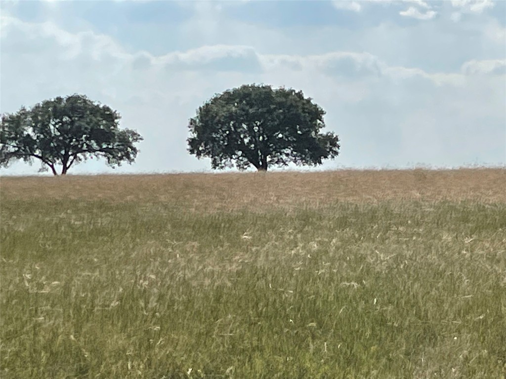 3000 Pettytown Road Dale, TX 78616 - Photo 4 of 34 a view of a field
