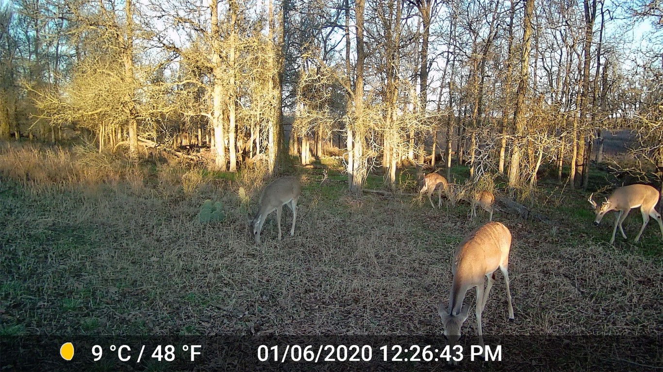 3000 Pettytown Road Dale, TX 78616 - Photo 7 of 34