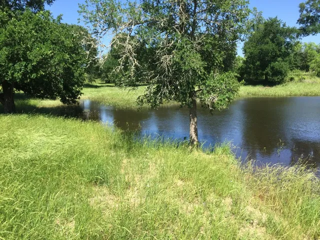 a view of swimming pool with yard