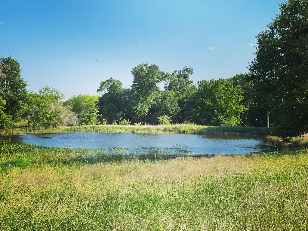 3000 Pettytown Road Dale, TX 78616 - Photo 10 of 34 a view of swimming pool with yard
