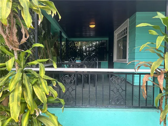 a picture of a plant