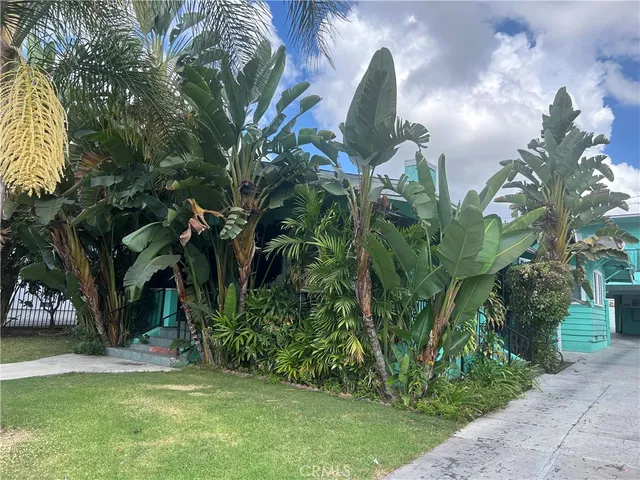 a plant with lots of trees