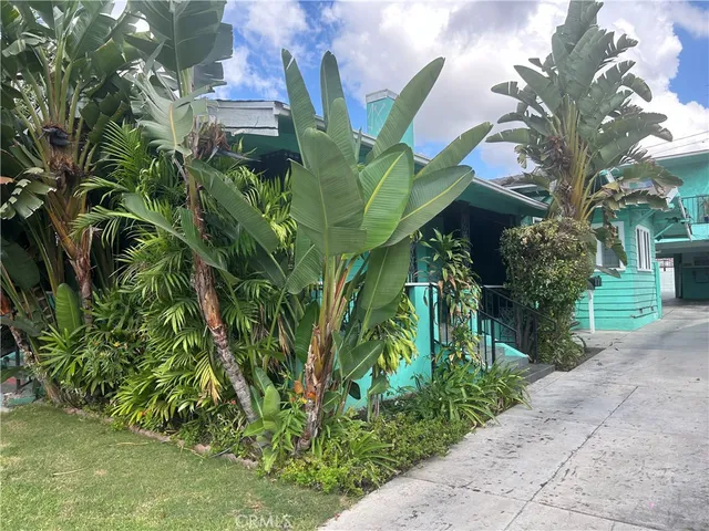 a view of a backyard