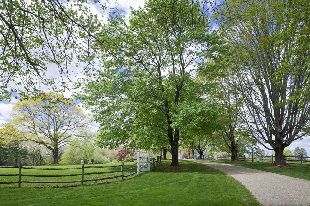 65 Waldingfield Road Ipswich, MA 01938 - Photo 4 of 25 a view of grassy field with trees