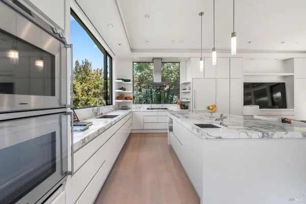 a view of backyard with potted plants