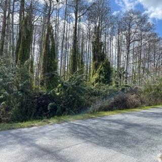 Richmond Rd Street St. Cloud, FL 34773 - Photo 1 of 5