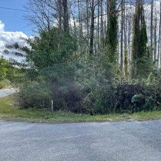 Richmond Rd Street St. Cloud, FL 34773 - Photo 2 of 5