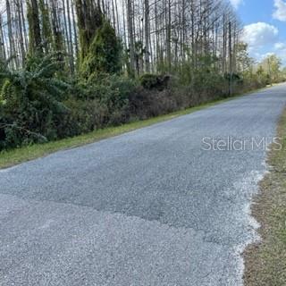 Richmond Rd Street St. Cloud, FL 34773 - Photo 3 of 5