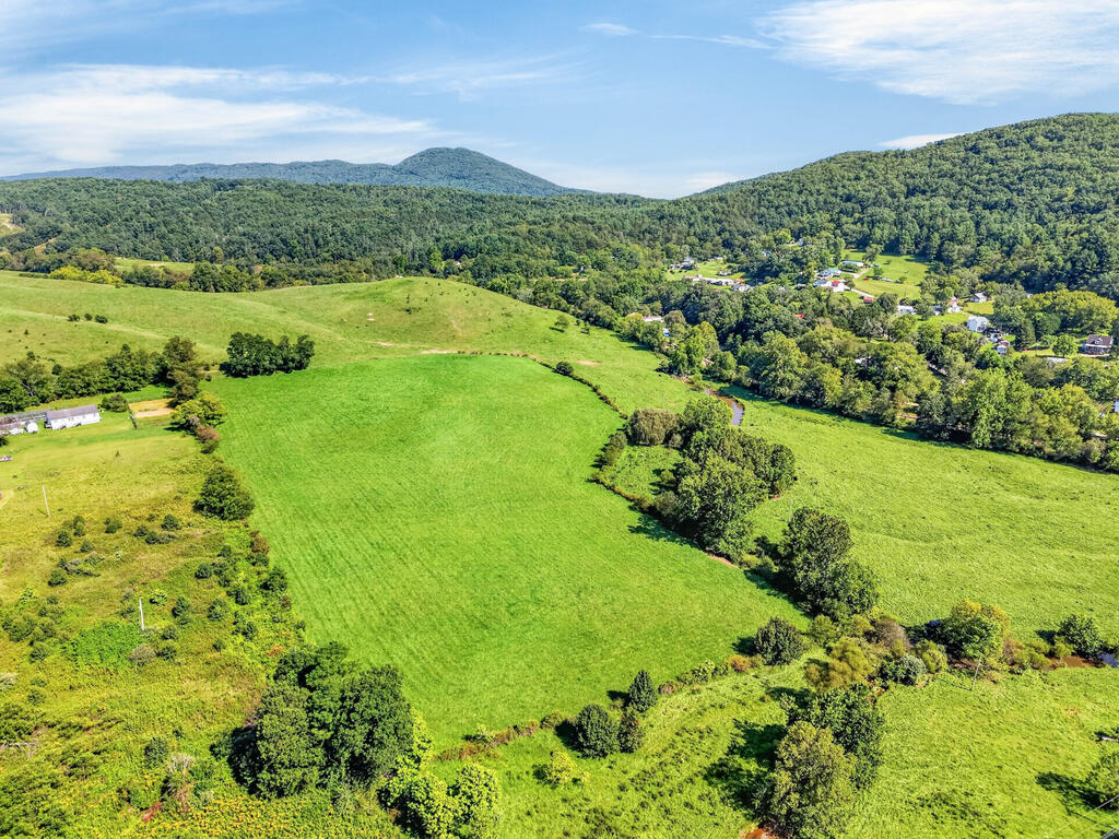 Tbd Peppers Ferry Road, Unit TRACT 4 Wytheville, VA 24382 - Photo 21 of 63 Gallery Image 21