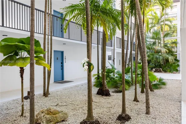 a view of a potted plants next to a yard