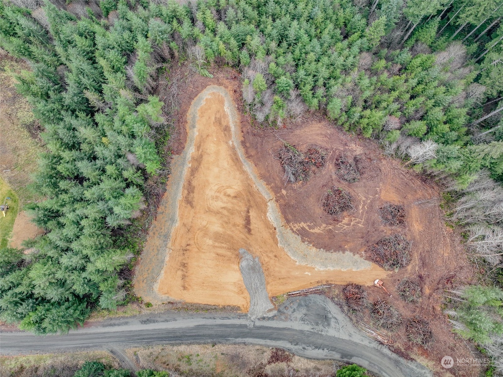 a tent sitting in middle of a forest