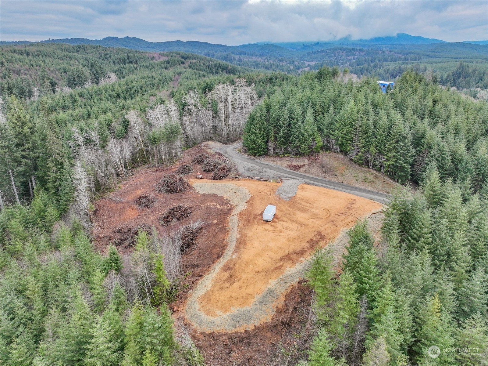 255 Arrowhead Drive Elma, WA 98541 - Photo 13 of 20 a view of a forest with a street