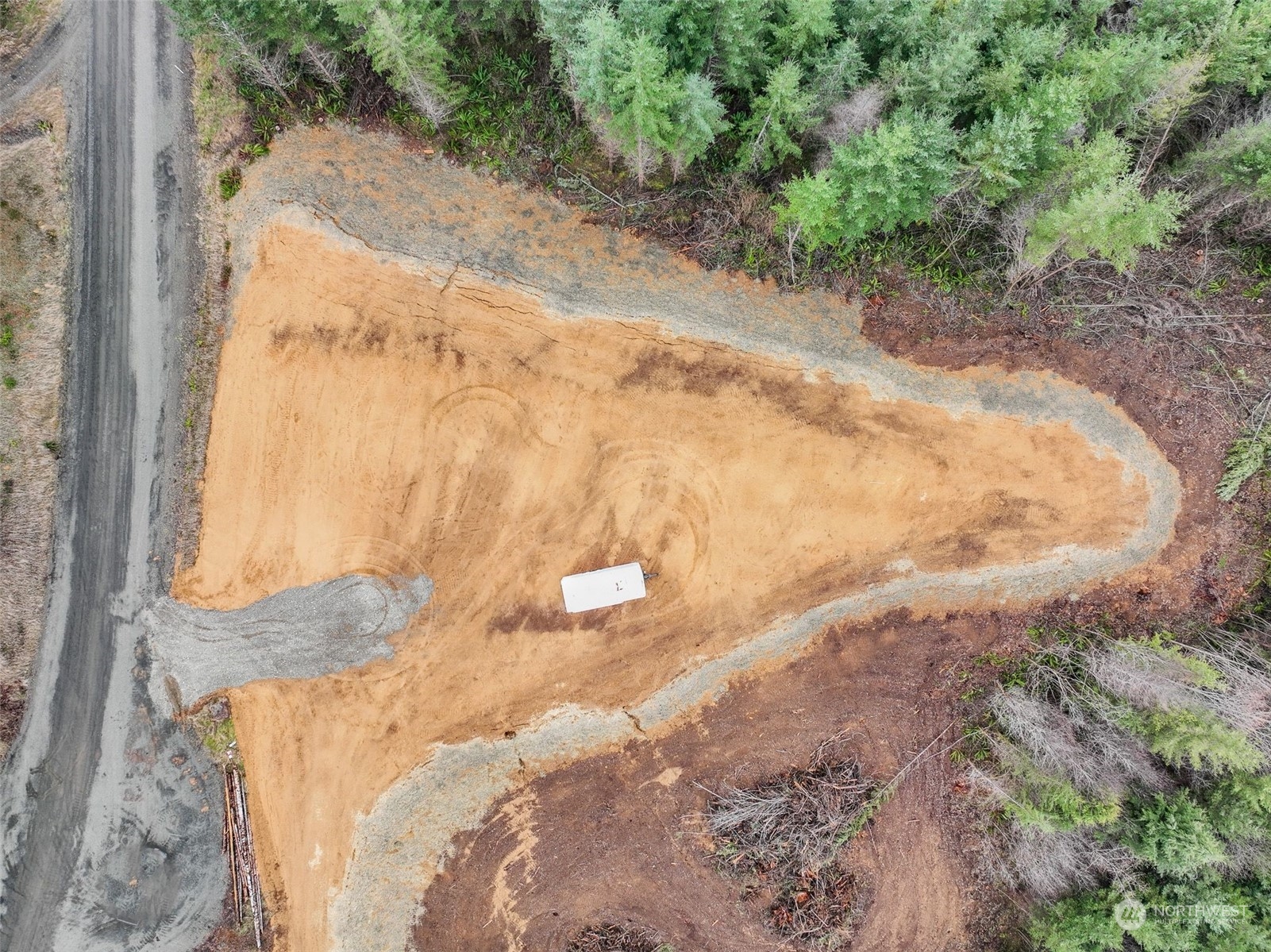 255 Arrowhead Drive Elma, WA 98541 - Photo 15 of 20 a view of a yard with trees