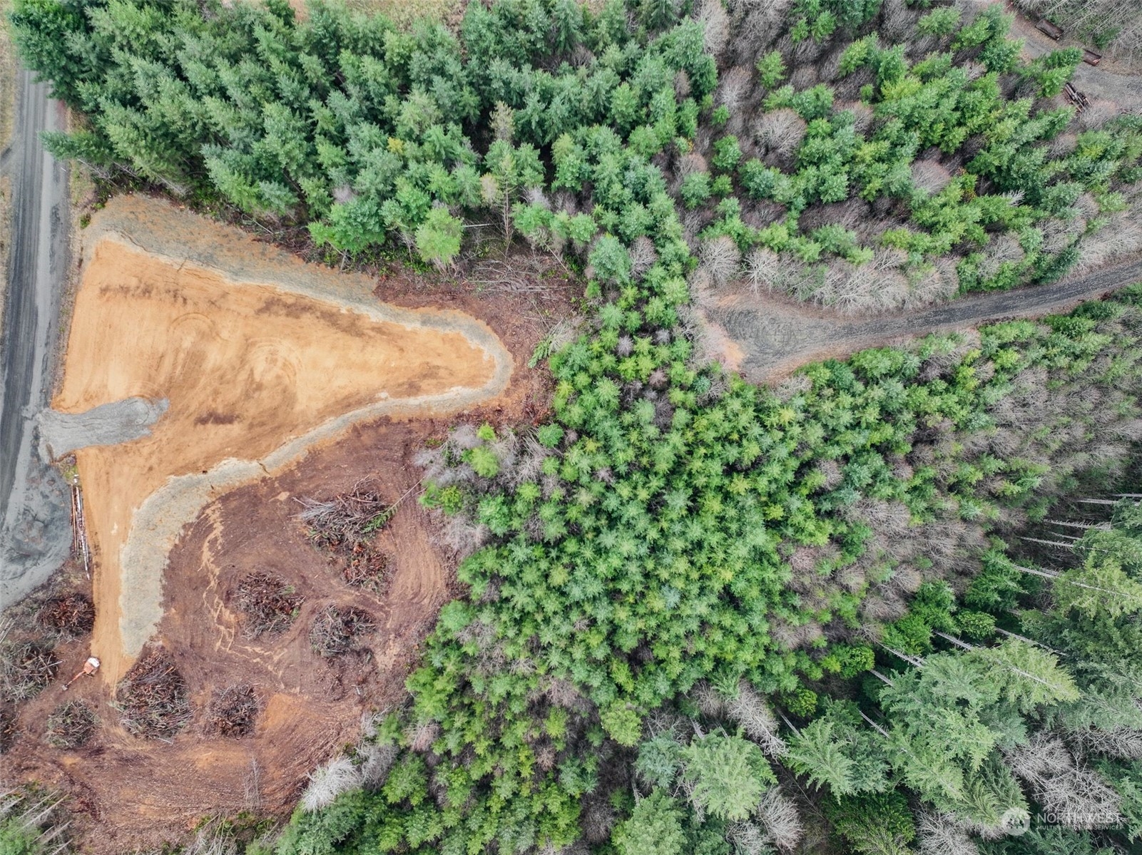 255 Arrowhead Drive Elma, WA 98541 - Photo 16 of 20 a view of a yard with plants